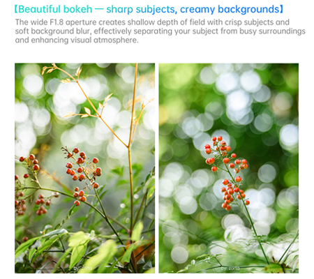 7Artisans AF 25mm f/1.8 for Sony E Mount APSC