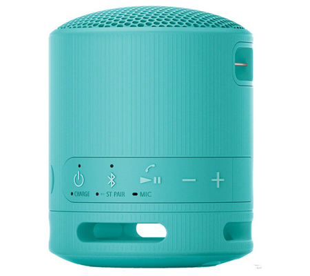 Sony SRS-XB100 Portable Bluetooth Speaker Blue