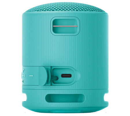 Sony SRS-XB100 Portable Bluetooth Speaker Blue