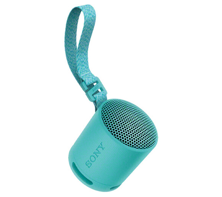 Sony SRS-XB100 Portable Bluetooth Speaker Blue