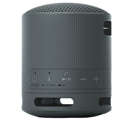 Sony SRS-XB100 Portable Bluetooth Speaker Black