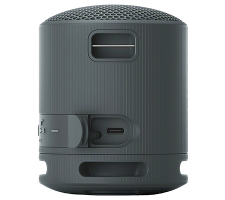 Sony SRS-XB100 Portable Bluetooth Speaker Black