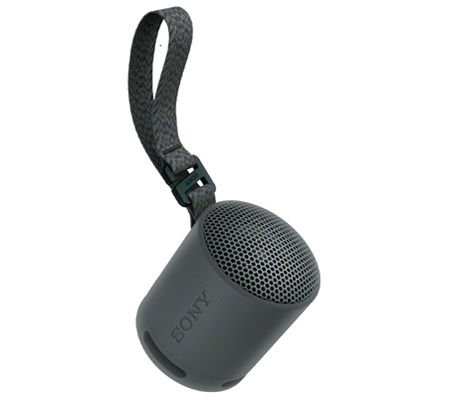 Sony SRS-XB100 Portable Bluetooth Speaker Black